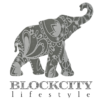 blockcity - Copy